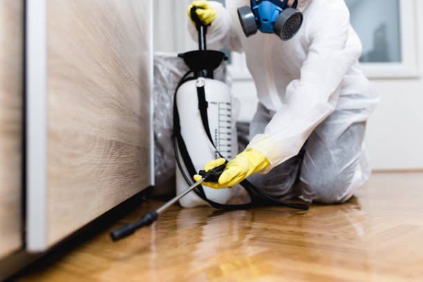 Best Bed Bug Extermination  in Mason Neck, VA