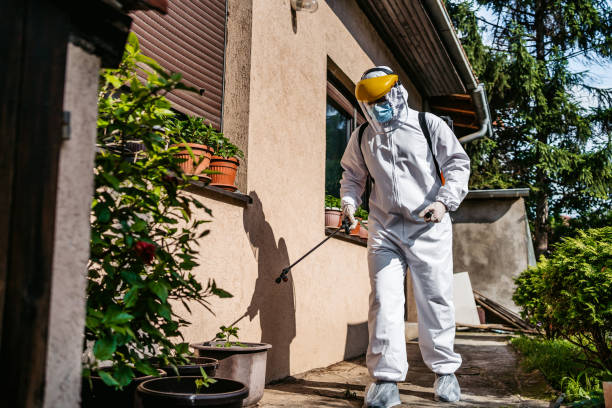 Best Residential Pest Control  in Mason Neck, VA