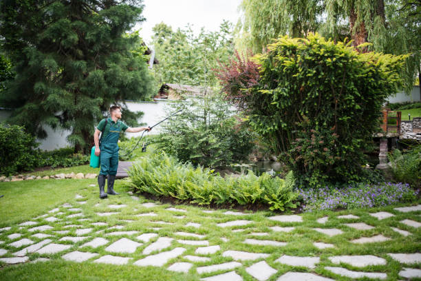Best Emergency Pest Control  in Mason Neck, VA