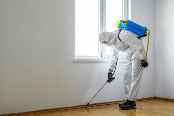 Wasp Removal Services in Mason Neck, VA