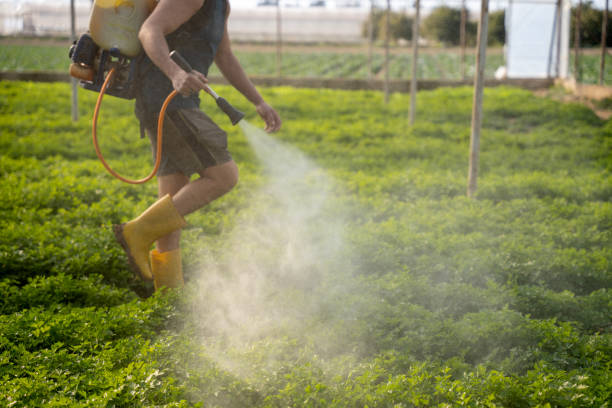 Best Pest Control Cost  in Mason Neck, VA